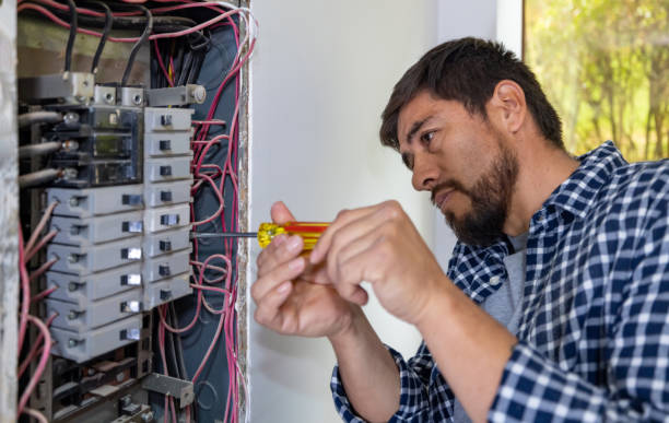 Best Electrical System Inspection  in Lyford, TX